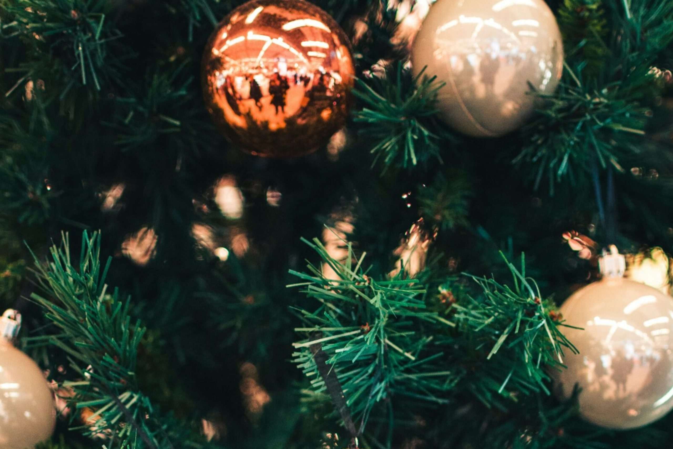 hert-niks-8XrYxWntkcM-unsplash hert-niks-8XrYxWntkcM-unsplash